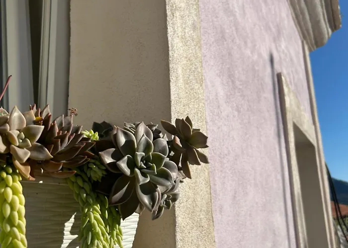 Apartment Casa Camilory *