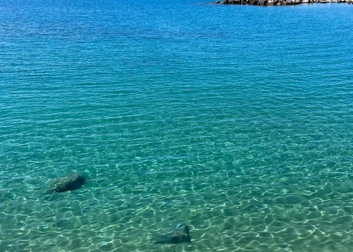 Casa Camilory Apartment San Lucido