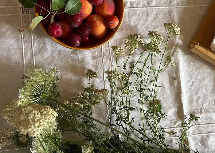 Casa Camilory Apartman